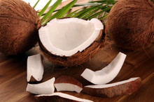 Coconut Oil With Fresh Nut Coconut Products With Fresh Coconut, Coconut Flakes, Coconut Spa Oil And Palm Leaves On Rustic Background.