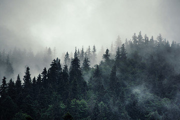 misty mountain landscape