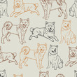 Vector beige shiba inu dogs sketch seamless background pattern. Suitable for gift wrap, textile and wallpaper.