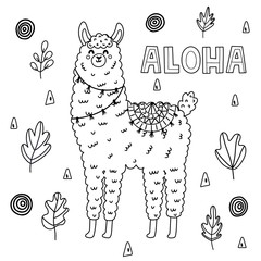 Wall Mural - Coloring page for adults and kids with funny llama