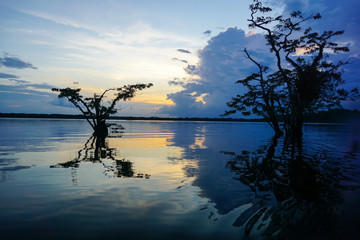 CUYABENO WILDWIFE RESERVE, ECUADOR - DECEMBER 14, 2019: Reflections of the clouds coloured from the sunset in Lake Cuyabeno 