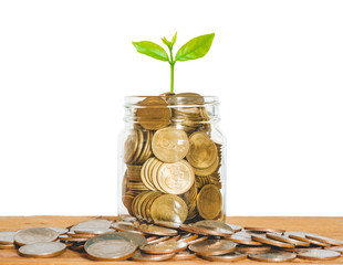 coin stack money saving concept. green leaf plant growth on rows of coin on white background. money matters tips to investment and business financial banking for Financial Wellness.