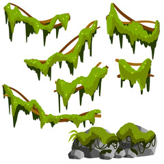 Set of branches with moss and green grass. Marsh plant. Part of the scenery of the jungle. swamp Stones with mold. bog vine of trees. Cartoon flat illustration