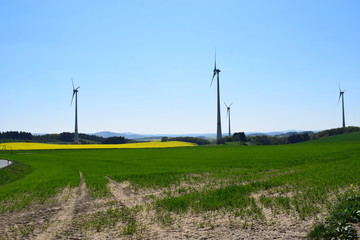 Poster - Eifellandschaft mit Windkraftanlagen