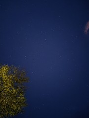 Wall Mural - night sky with stars