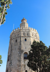 Wall Mural - Historical building Tower of gold with green trees in a sunny day