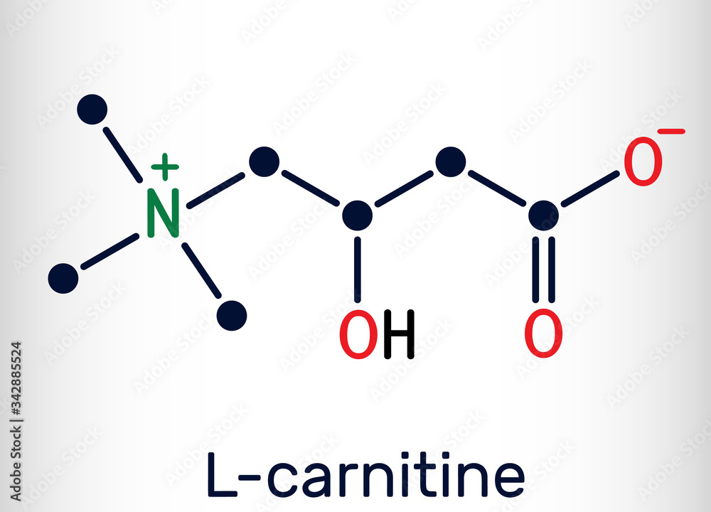 different types of l-carnitine L-Carnitine main image 1