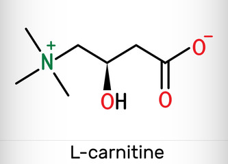 Sticker - L-carnitine, Levocarnitine, Carnitine, C7H15NO3 molecule. Structural chemical formula