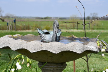 Poster - Bird Bath in a Flower Garden