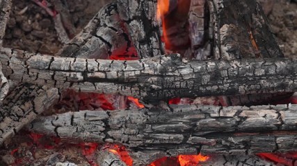 Aufkleber - burning fire close-up. bonfire in the forest