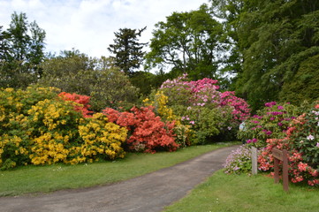  Scone Palace Gardens, Perth, Scotland