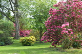 Fototapeta Kwiaty - Scone Palace Gardens, Perth, Scotland