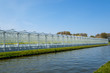 Perspective view of a modern industrial greenhouse for tomatoes in the Netherlands