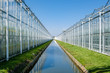 © FotoCorn - Perspective view of a modern industrial greenhouse for tomatoes in the Netherlands