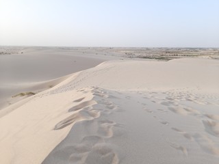 Canvas Print - traveling in sahara desert of Algeria