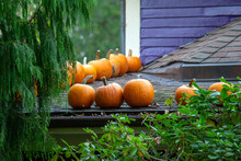 Halloween Pumpkin On The Roof