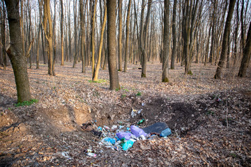 garbage in the forest. pollution of nature. ecological catastrophy. causes of global warming. nature