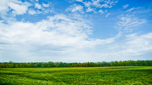 Green Field With Forest On Horizon