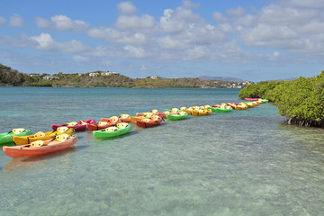 Wall Mural - Rows of Kayaks