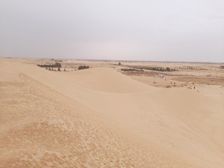 Wall Mural - Sand dunes in desert on Algeria