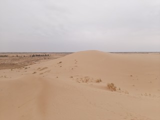 Wall Mural - Sand dunes in desert on Algeria