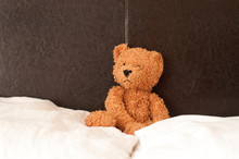 Teddy Bear On Bed At Home