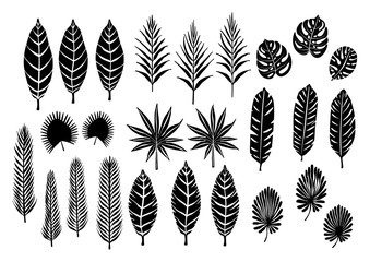 Tropical plants, banana, monstera, palm leaves silhouettes set. Vector illustration isolated on a white