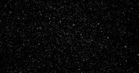 Wall Mural - abstract Flying dust particles on a black background