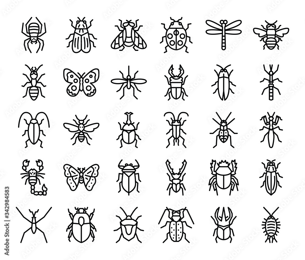 insect outline vector icons Stock Vector | Adobe Stock
