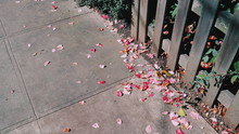High Angle View Of Fallen Flower Petal On Footpath