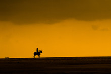 Silhouette Of Man Playing Polo