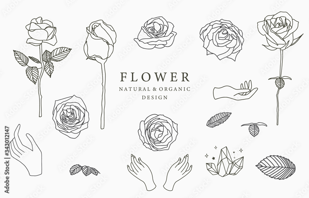 Black flower logo collection with leaves,geometric.Vector illustration for icon,logo,sticker,printable and tattoo - obrazy, fototapety, plakaty 
