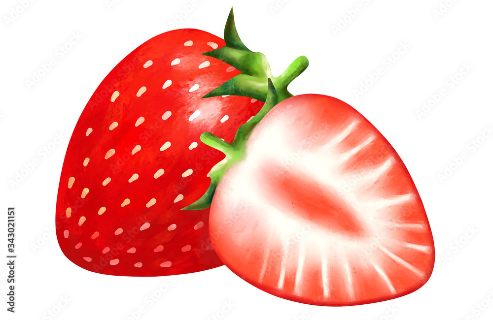 イラスト素材 苺 イチゴ strawberry 断面 の Stock イラスト