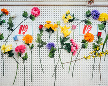 View Of Multi Colored Flowers On White Color Wall