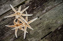 High Angle View Of Star Fish On Wooden Plank