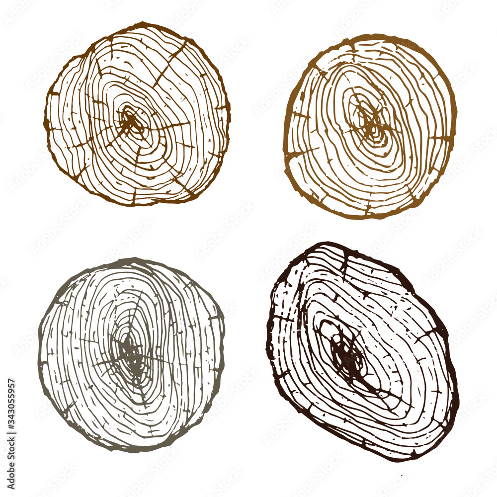 cross section of tree stump Stock Vector | Adobe Stock