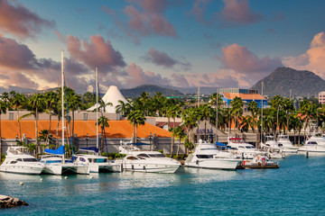 Wall Mural - White yachts at a dock on the island of Aruba