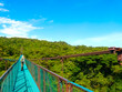Monteverde national park, Puntarenas, Costa Rica