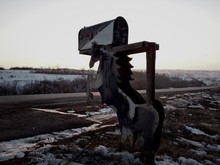 Horse Shaped Mailbox