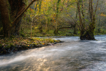 Wall Mural - Delicious Golden Reflections in the Stream of a River