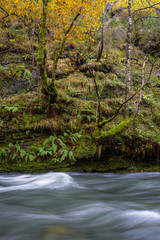 Wall Mural - Flowing Stream in front of a Slate Cliff