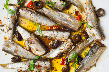 Wall Mural - spanish sardines in olive oil