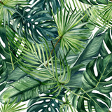 Watercolor hand painted seamless pattern with green tropical leaves of monstera, banana tree and palm on white  background.