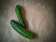green cucumber on a white background