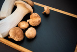 Fototapeta Boho - shiitake and eringi mushrooms on black background