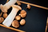 Fototapeta Boho - shiitake and eringi mushrooms on black background