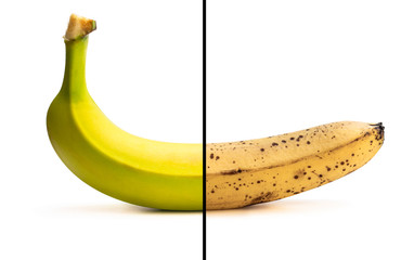 Wall Mural - Conceptual image of half ripe banana showing different stages