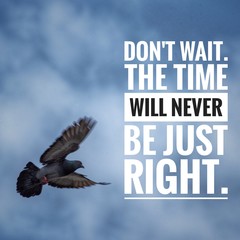 Wall Mural - Motivational and inspirational quote - Don't wait. The time will never be just right.