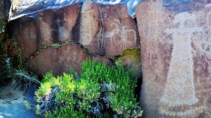 Wall Mural - Pertoglyphs that are hundreds of years old seen at Little Petroglyph Canyon at Marutango  in California.  