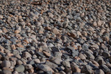 Fototapeta Kamienie - coast with stones